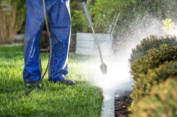 Curb Cleaning in Leesburg