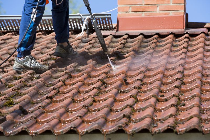 Roof Cleaning Process
